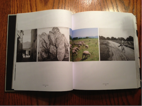 inside book